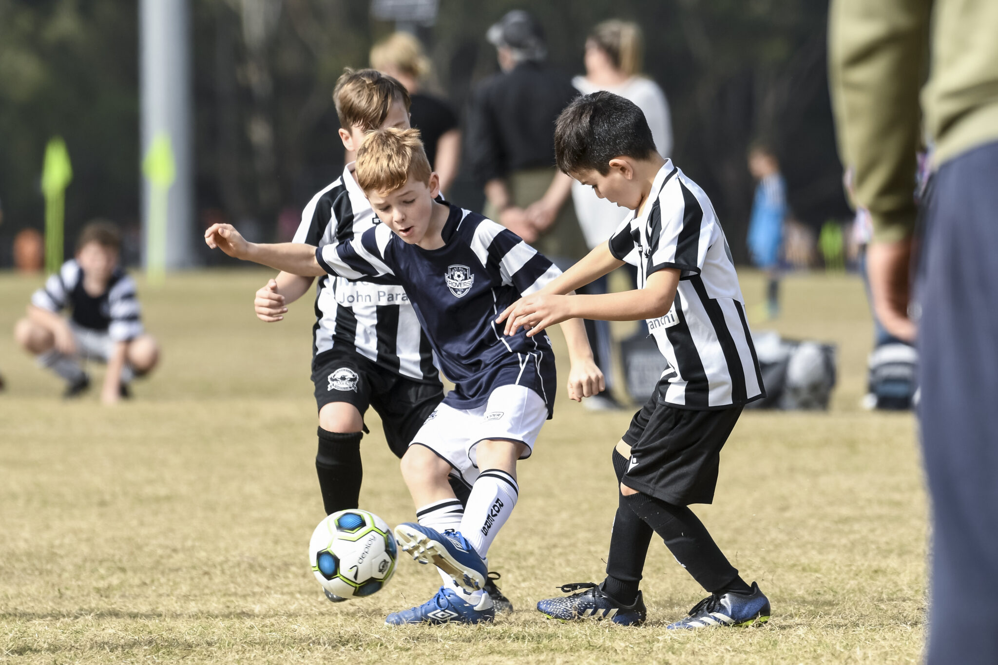 The 2024 NWSF season begins! NORTH WEST SYDNEY FOOTBALL